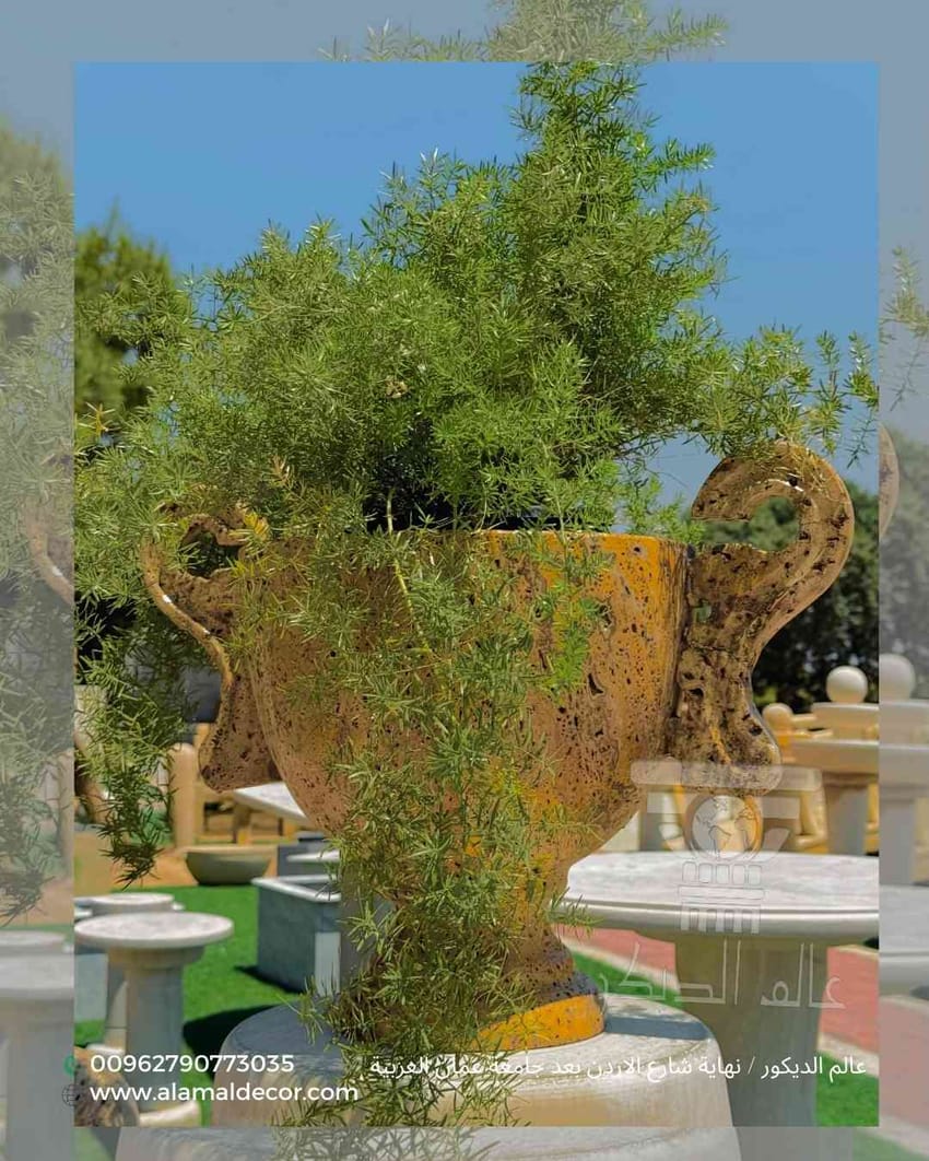 q122 حوض زريعة