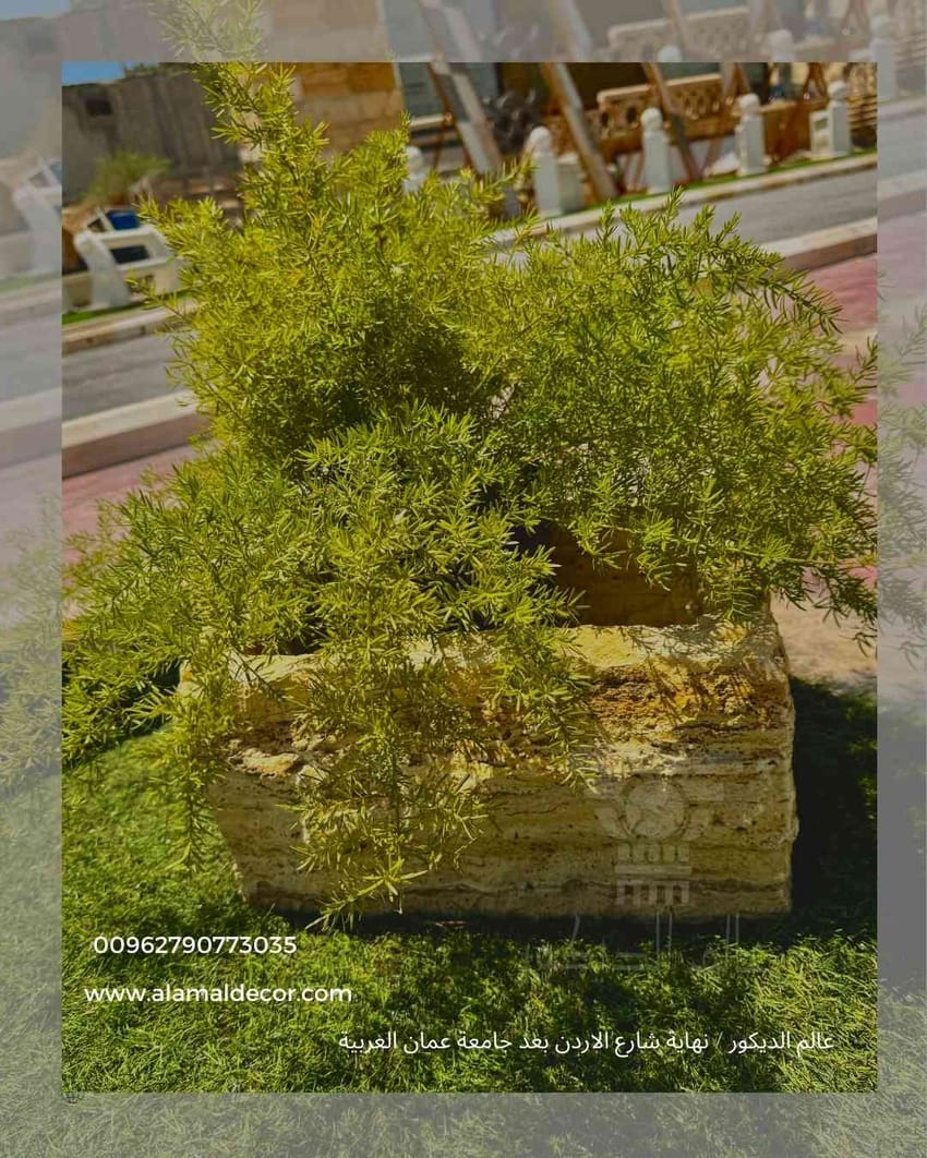 q120 حوض زريعة