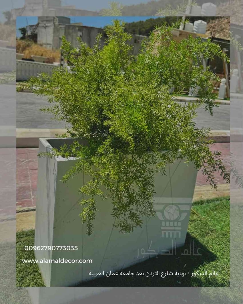 q124 حوض زريعة