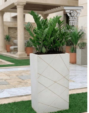 أحواض q131... هندسة الضوء والظل في تصميم عصري يعانق الطبيعة.